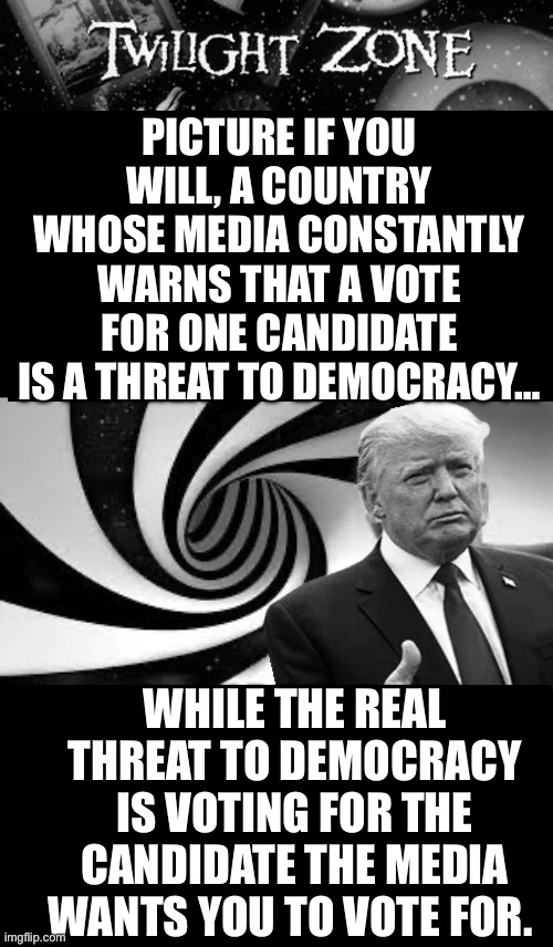 Threat to Democracy | PICTURE IF YOU WILL, A COUNTRY WHOSE MEDIA CONSTANTLY WARNS THAT A VOTE FOR ONE CANDIDATE IS A THREAT TO DEMOCRACY…; WHILE THE REAL THREAT TO DEMOCRACY IS VOTING FOR THE CANDIDATE THE MEDIA WANTS YOU TO VOTE FOR. | image tagged in mainstream media,democracy | made w/ Imgflip meme maker