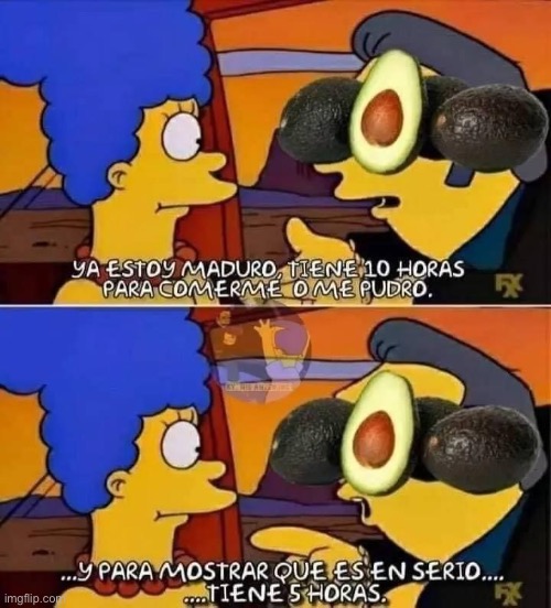 98488p.jpg