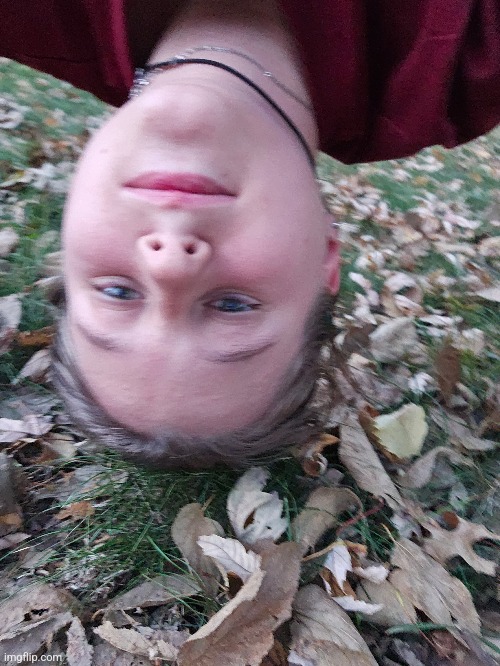 Went upside down on a bar there's leaves in my hair I can't get out | made w/ Imgflip meme maker