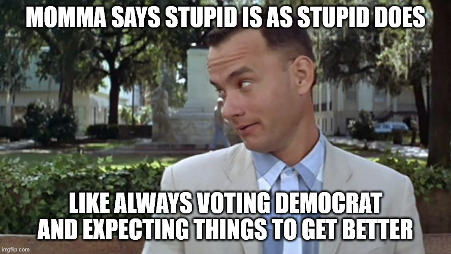 Stupid Is As Stupid Does | MOMMA SAYS STUPID IS AS STUPID DOES; LIKE ALWAYS VOTING DEMOCRAT AND EXPECTING THINGS TO GET BETTER | image tagged in forrest gump face,voting,funny memes,politics | made w/ Imgflip meme maker