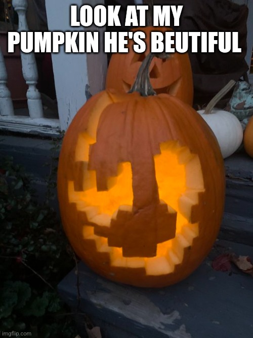 LOOK AT MY PUMPKIN HE'S BEUTIFUL | made w/ Imgflip meme maker