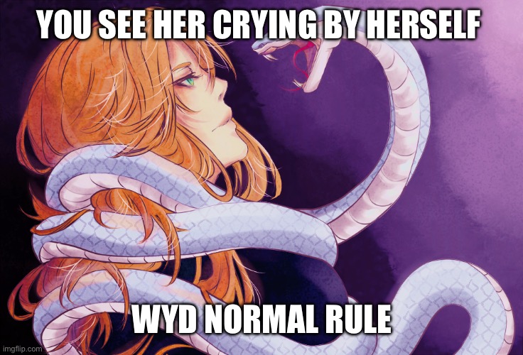 I'm back | YOU SEE HER CRYING BY HERSELF; WYD NORMAL RULE | image tagged in nori | made w/ Imgflip meme maker