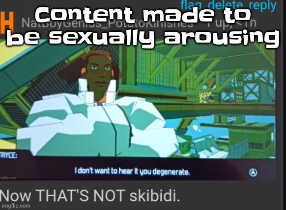 Now that's NOT skibidi | Content made to be sexually arousing | image tagged in now that's not skibidi | made w/ Imgflip meme maker