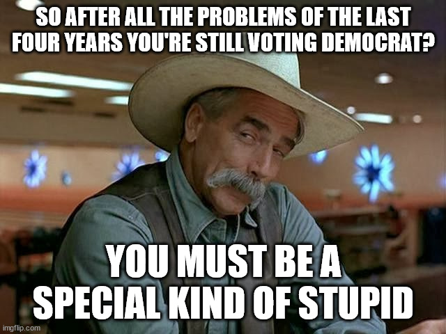 Special Kind of Stupid | SO AFTER ALL THE PROBLEMS OF THE LAST FOUR YEARS YOU'RE STILL VOTING DEMOCRAT? YOU MUST BE A SPECIAL KIND OF STUPID | image tagged in special kind of stupid,politics,voting,funny memes | made w/ Imgflip meme maker