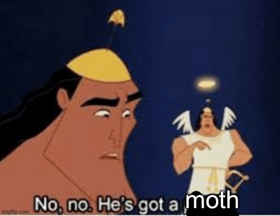 No, no. He's got a point | moth | image tagged in no no he's got a point | made w/ Imgflip meme maker