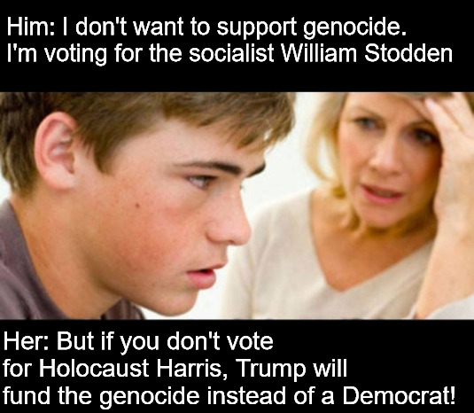 How selfish of him (sarcasm) | Him: I don't want to support genocide. I'm voting for the socialist William Stodden; Her: But if you don't vote for Holocaust Harris, Trump will fund the genocide instead of a Democrat! | image tagged in son and mom serious,democrats,republicans,socialist,socialist party usa,palestine | made w/ Imgflip meme maker