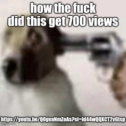 gun to my head | how the fuck did this get 700 views; https://youtu.be/Q0gvaNmZoAs?si=Id44wQQXCT2vGtsp | image tagged in gun to my head | made w/ Imgflip meme maker