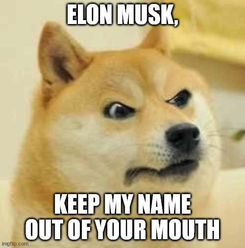 MAGA doesn't get to claim Doge | ELON MUSK, KEEP MY NAME OUT OF YOUR MOUTH | image tagged in angry doge,elon musk,donald trump,scumbag republicans | made w/ Imgflip meme maker