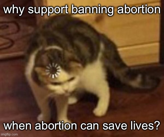 Loading cat | why support banning abortion when abortion can save lives? | image tagged in loading cat | made w/ Imgflip meme maker