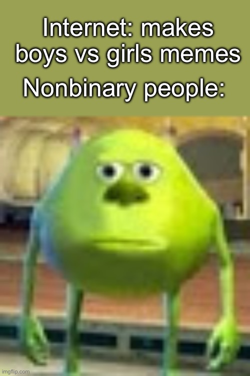 Sully Wazowski | Internet: makes boys vs girls memes; Nonbinary people: | image tagged in sully wazowski | made w/ Imgflip meme maker