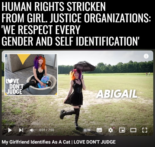 HUMAN RIGHTS STRICKEN FROM GIRL. JUSTICE ORGANIZATIONS: 'WE RESPECT EVERY GENDER AND SELF IDENTIFICATION' | image tagged in funny,gender identity,woke | made w/ Imgflip meme maker