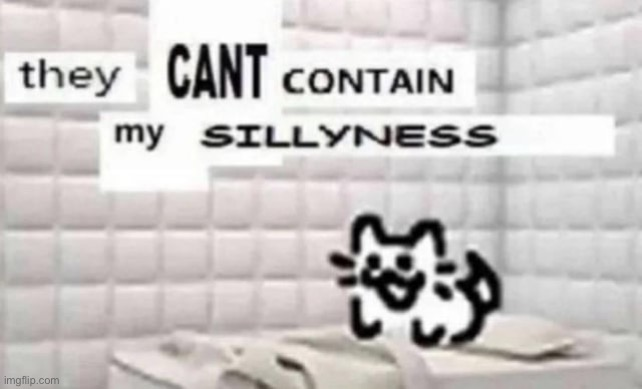 they cant contain my sillyness Blank Meme Template