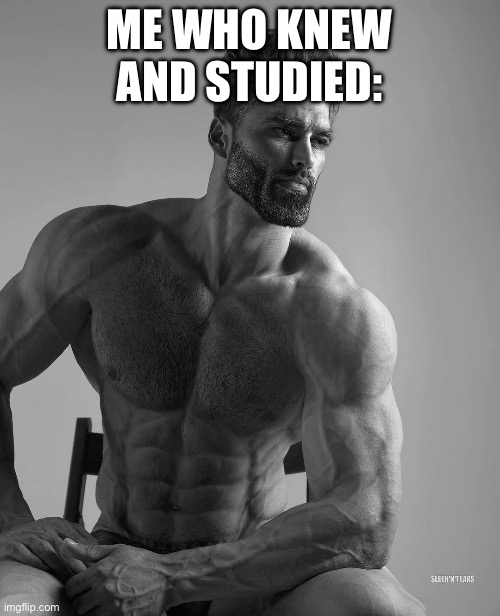 Buff chad | ME WHO KNEW AND STUDIED: | image tagged in buff chad | made w/ Imgflip meme maker