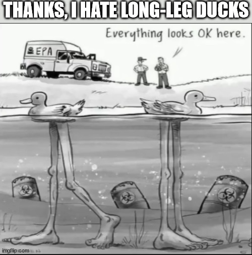 ew | THANKS, I HATE LONG-LEG DUCKS | image tagged in ducks | made w/ Imgflip meme maker