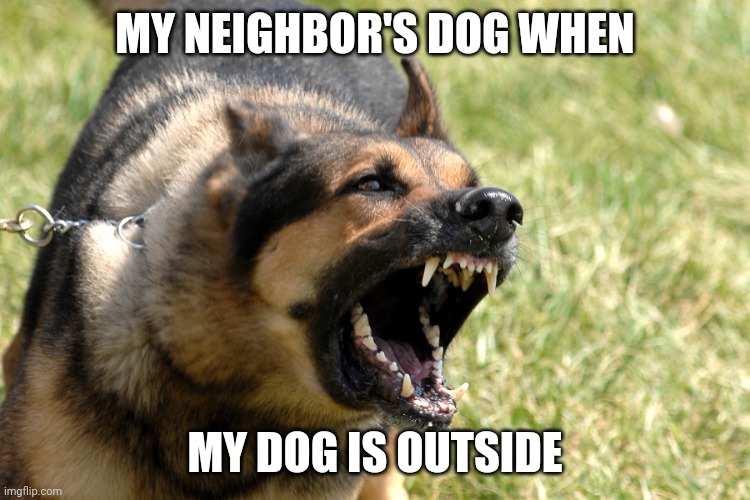 Barking dog | MY NEIGHBOR'S DOG WHEN; MY DOG IS OUTSIDE | image tagged in barking dog | made w/ Imgflip meme maker