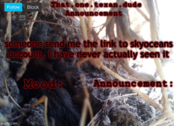 THE that.one.texan.dude announcement template | someone send me the link to skyoceans account, I have never actually seen it | image tagged in the that one texan dude announcement template | made w/ Imgflip meme maker