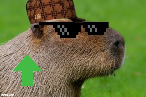 cappy | image tagged in capybara | made w/ Imgflip meme maker