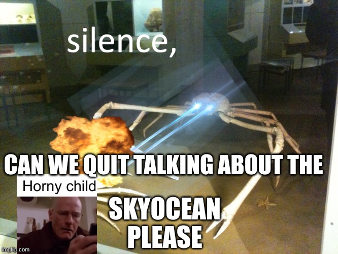 silence | CAN WE QUIT TALKING ABOUT THE; SKYOCEAN PLEASE | image tagged in silence | made w/ Imgflip meme maker