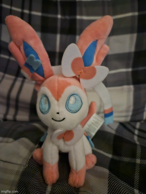 I got a Sylveon | image tagged in pokemon | made w/ Imgflip meme maker