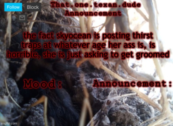 THE that.one.texan.dude announcement template | the fact skyocean is posting thirst traps at whatever age her ass is, is horrible, she is just asking to get groomed | image tagged in the that one texan dude announcement template | made w/ Imgflip meme maker