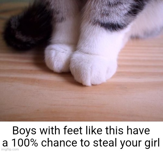 Boys with feet like this have a 100% chance to steal your girl | image tagged in cat,girlfriend | made w/ Imgflip meme maker