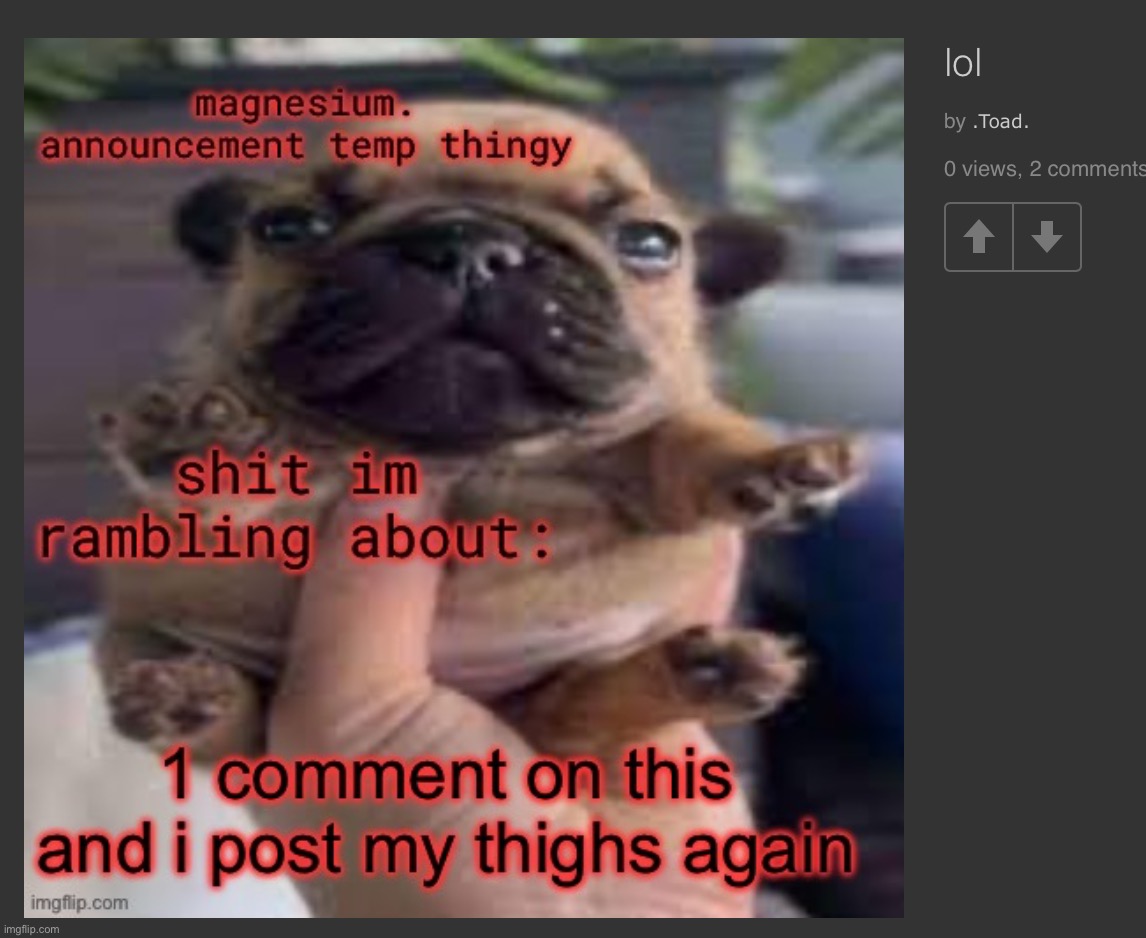 Not even disabling the comments saved it- | made w/ Imgflip meme maker