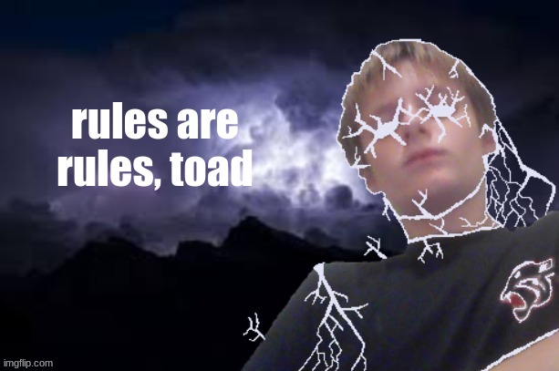 Low tier Texas | rules are rules, toad | image tagged in low tier texas | made w/ Imgflip meme maker