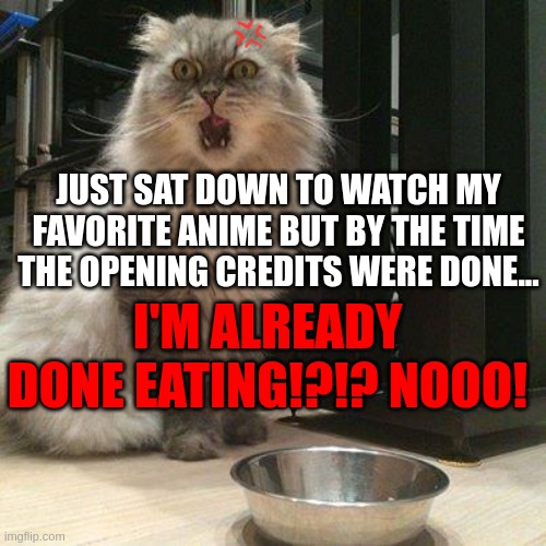 so unsatisfied... | JUST SAT DOWN TO WATCH MY FAVORITE ANIME BUT BY THE TIME THE OPENING CREDITS WERE DONE... I'M ALREADY DONE EATING!?!? NOOO! | image tagged in empty food bowl | made w/ Imgflip meme maker