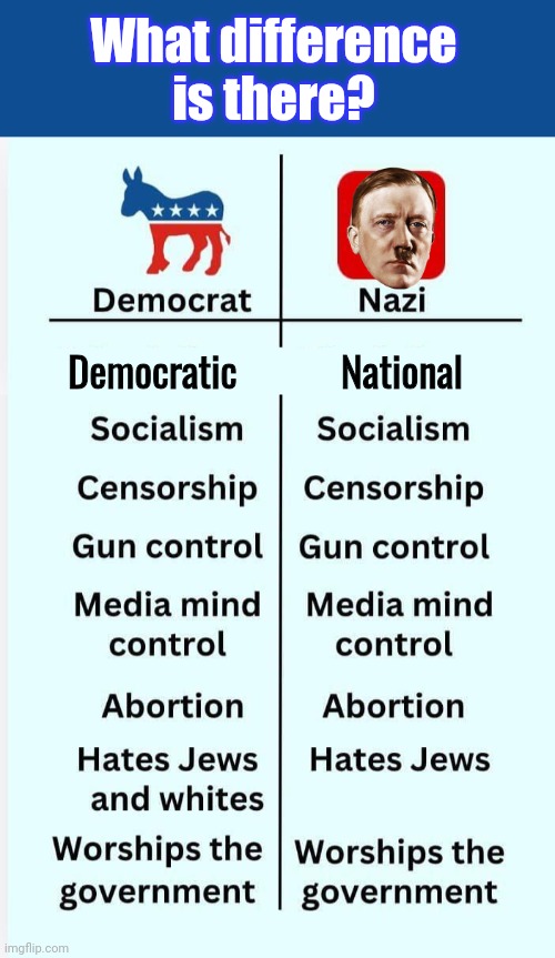 What difference is there? | What difference is there? Democratic           National | image tagged in slate blue solid color background,democrats,nazis,same | made w/ Imgflip meme maker