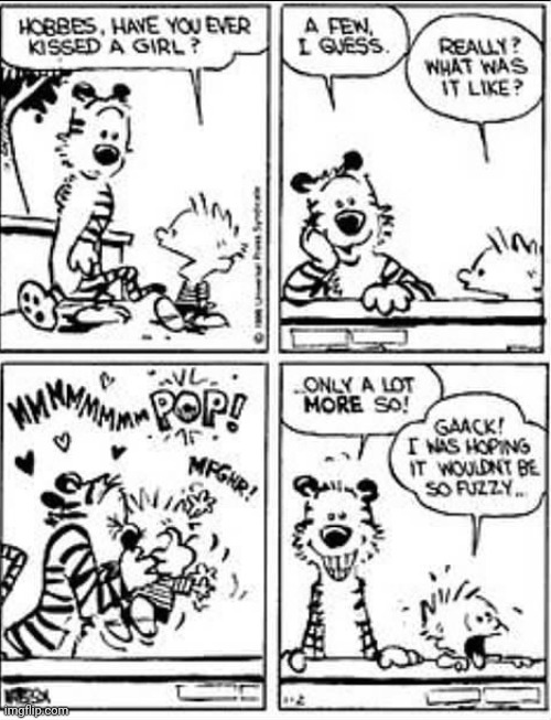 Remember this? | image tagged in calvin and hobbes,comics/cartoons,lgbt,boykisser | made w/ Imgflip meme maker