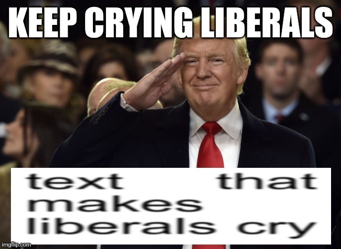 6 upvotes and i post this to politics | made w/ Imgflip meme maker