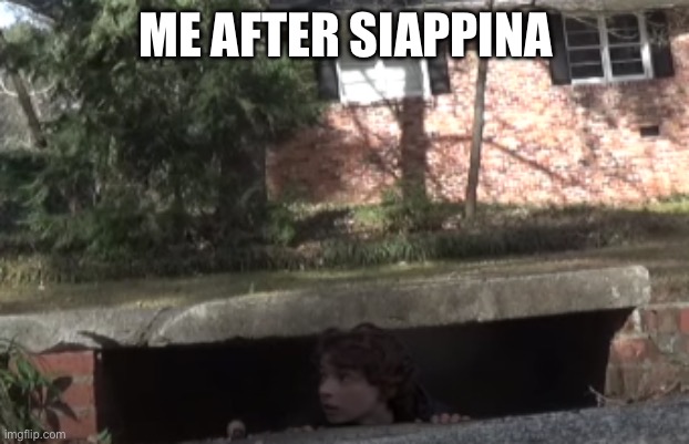 me hiding from- | ME AFTER SIAPPINA | image tagged in me hiding from- | made w/ Imgflip meme maker