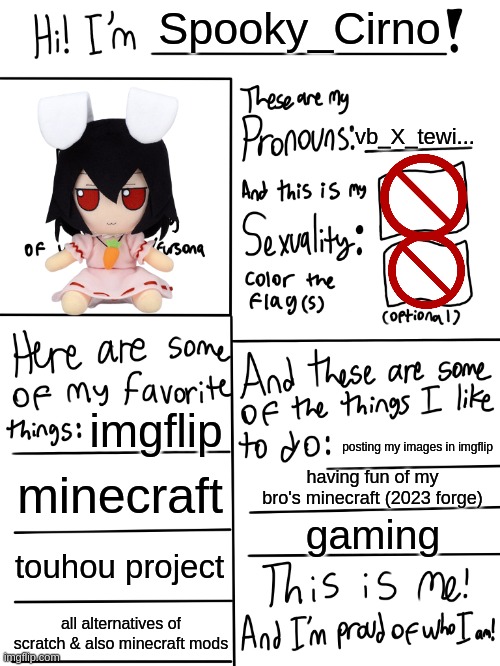 i have a transparent profile! | Spooky_Cirno; vb_X_tewi... imgflip; posting my images in imgflip; minecraft; having fun of my bro's minecraft (2023 forge); gaming; touhou project; all alternatives of scratch & also minecraft mods | image tagged in lgbtq stream account profile | made w/ Imgflip meme maker