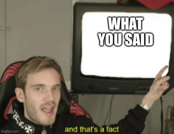 and that's a fact | WHAT YOU SAID | image tagged in and that's a fact | made w/ Imgflip meme maker