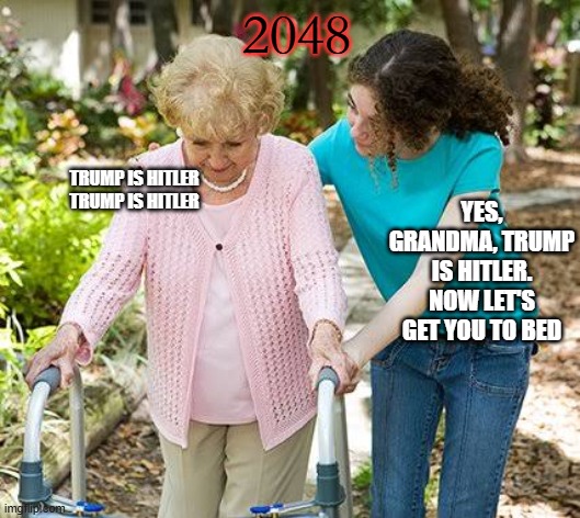 Some Will Never Recover | 2048; YES, GRANDMA, TRUMP IS HITLER. NOW LET'S GET YOU TO BED; TRUMP IS HITLER
TRUMP IS HITLER | image tagged in tds | made w/ Imgflip meme maker