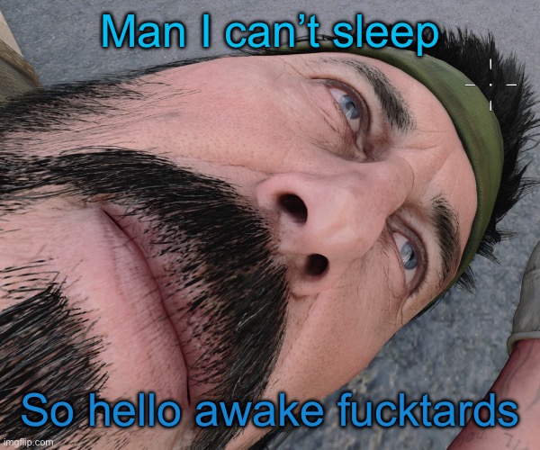 Woody woods | Man I can’t sleep; So hello awake fucktards | image tagged in woody woods | made w/ Imgflip meme maker