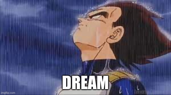 sad vegeta | DREAM | image tagged in sad vegeta | made w/ Imgflip meme maker