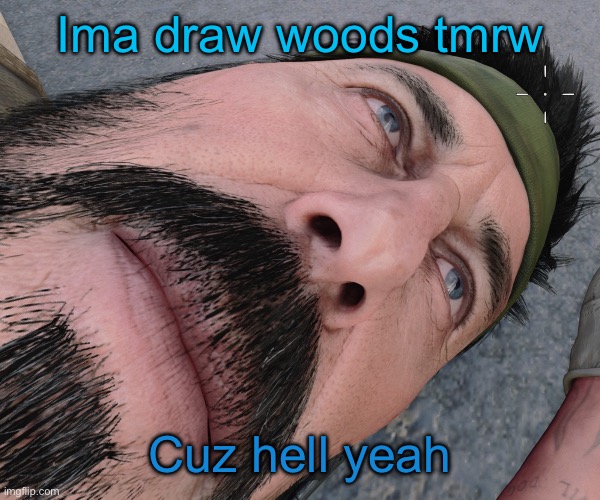 Woody woods | Ima draw woods tmrw; Cuz hell yeah | image tagged in woody woods | made w/ Imgflip meme maker