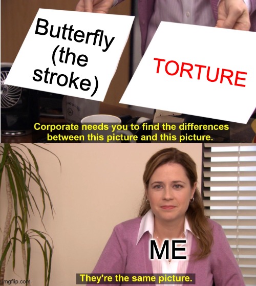 They're The Same Picture Meme | Butterfly
(the stroke); TORTURE; ME | image tagged in memes,they're the same picture | made w/ Imgflip meme maker