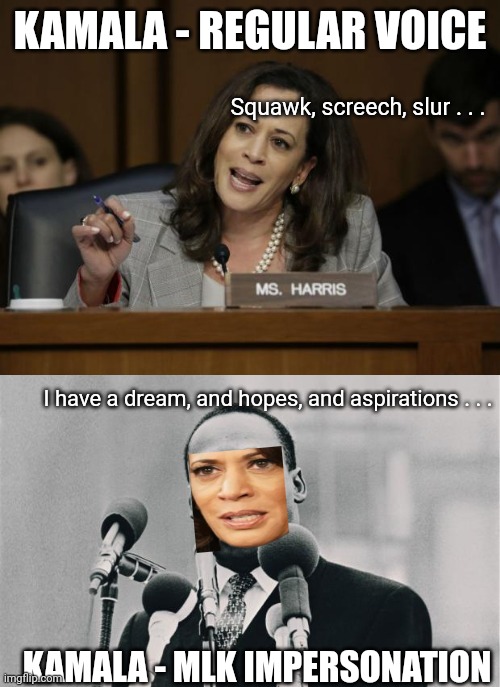 KAMALA - REGULAR VOICE KAMALA - MLK IMPERSONATION Squawk, screech, slur . . . I have a dream, and hopes, and aspirations . . . | image tagged in kamala harris,mlk jr i have a dream | made w/ Imgflip meme maker