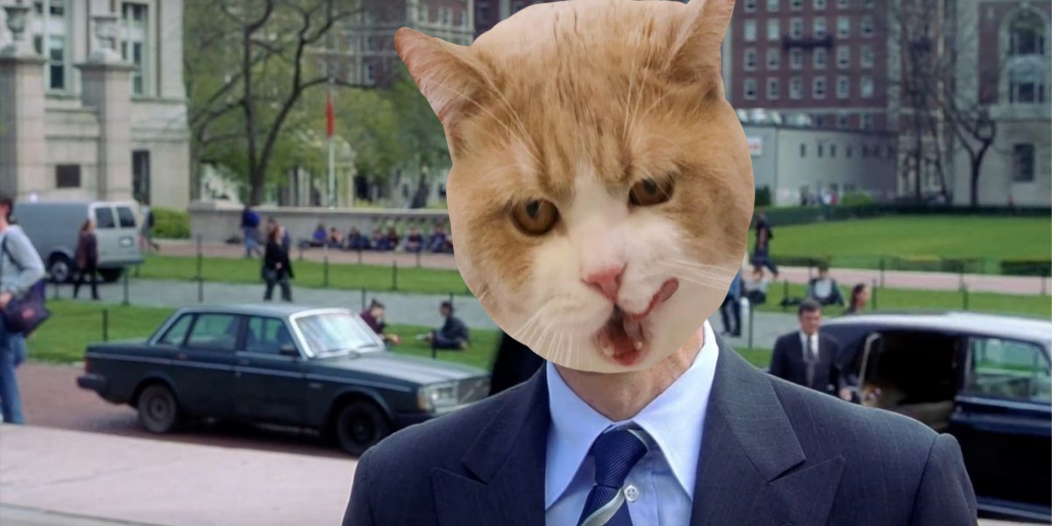 You know, I'm something of a cat myself Blank Meme Template