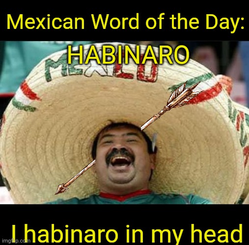 Mexican Word of the Day | Mexican Word of the Day:; HABINARO; I habinaro in my head | image tagged in mexican word of the day,habinaro | made w/ Imgflip meme maker