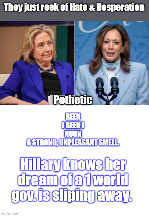 For now anyways | They just reek of Hate & Desperation; Pothetic; REEK

[ REEK ]

NOUN
A STRONG, UNPLEASANT SMELL. Hillary knows her dream of a 1 world gov. is sliping away. | image tagged in blank white template | made w/ Imgflip meme maker