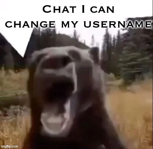 Fedy Faber | Chat I can change my username | image tagged in fedy faber | made w/ Imgflip meme maker