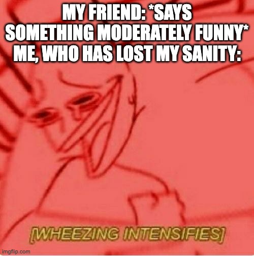 Wheeze | MY FRIEND: *SAYS SOMETHING MODERATELY FUNNY*
ME, WHO HAS LOST MY SANITY: | image tagged in wheeze | made w/ Imgflip meme maker