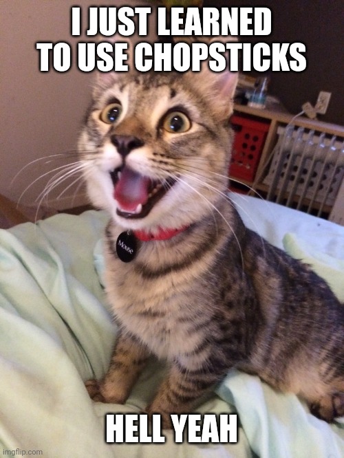 Easier tban I thought! | I JUST LEARNED TO USE CHOPSTICKS; HELL YEAH | image tagged in excited cat | made w/ Imgflip meme maker