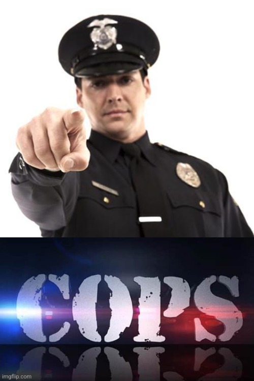 Police | image tagged in police | made w/ Imgflip meme maker