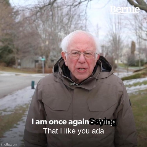 Bernie I Am Once Again Asking For Your Support | Saying; That I like you ada | image tagged in memes,bernie i am once again asking for your support | made w/ Imgflip meme maker