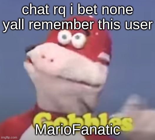 gobbles | chat rq i bet none yall remember this user; MarioFanatic | image tagged in gobbles | made w/ Imgflip meme maker