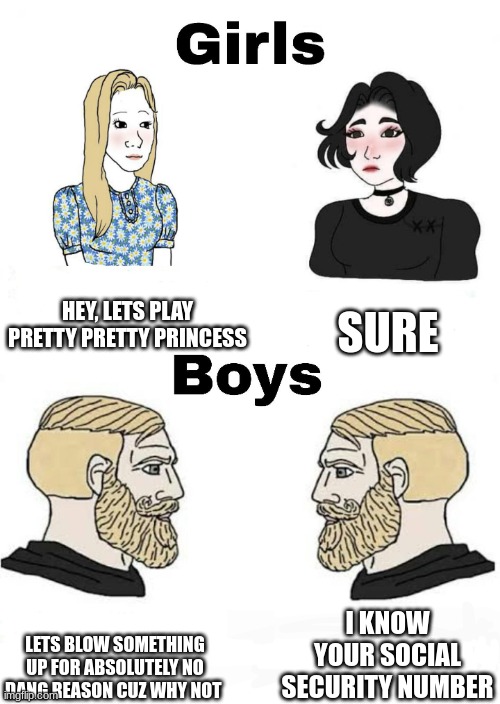 True, no lies | HEY, LETS PLAY PRETTY PRETTY PRINCESS; SURE; I KNOW YOUR SOCIAL SECURITY NUMBER; LETS BLOW SOMETHING UP FOR ABSOLUTELY NO DANG REASON CUZ WHY NOT | image tagged in girls vs boys | made w/ Imgflip meme maker